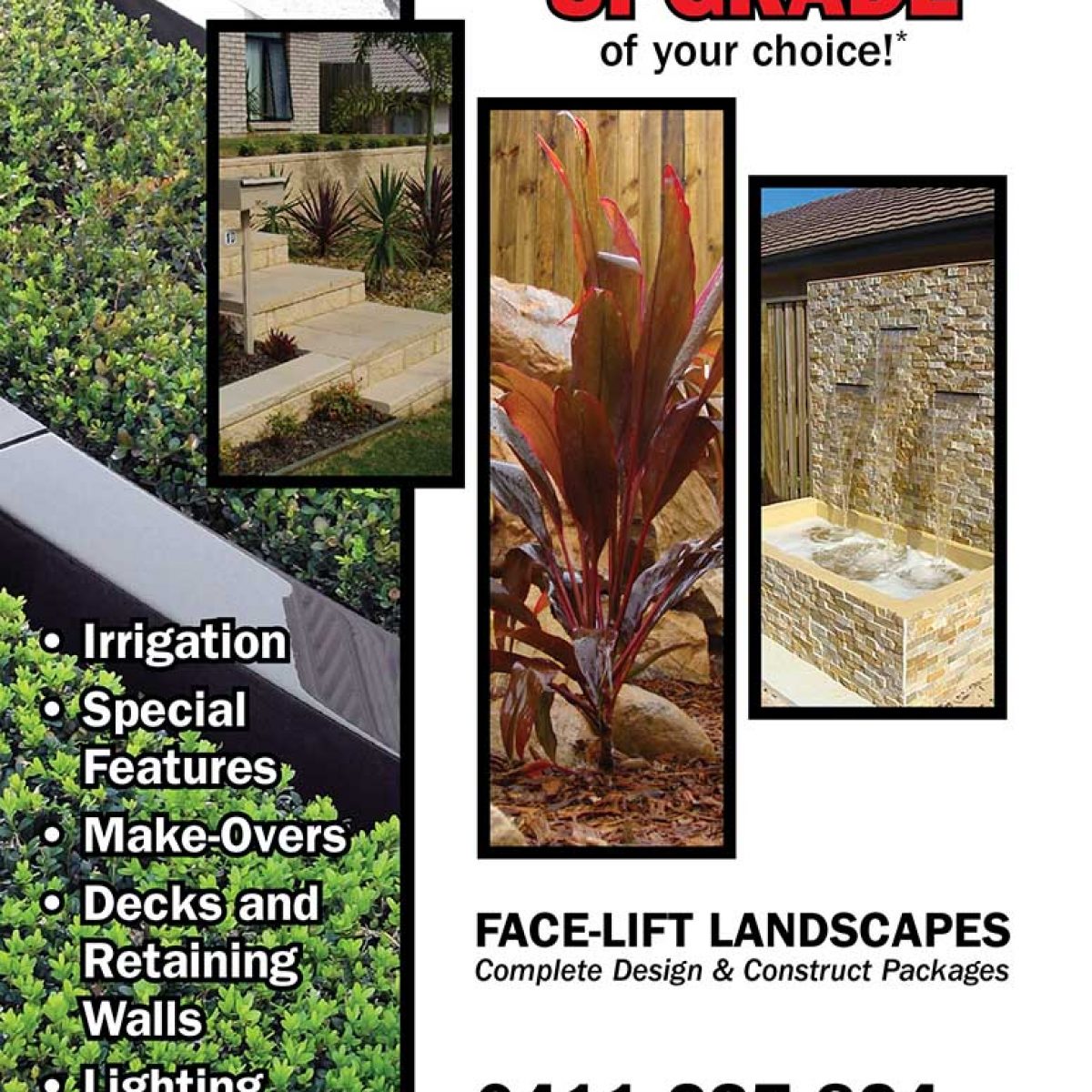 Face-Lift Landscapes FRONT ONLY (B18,21)