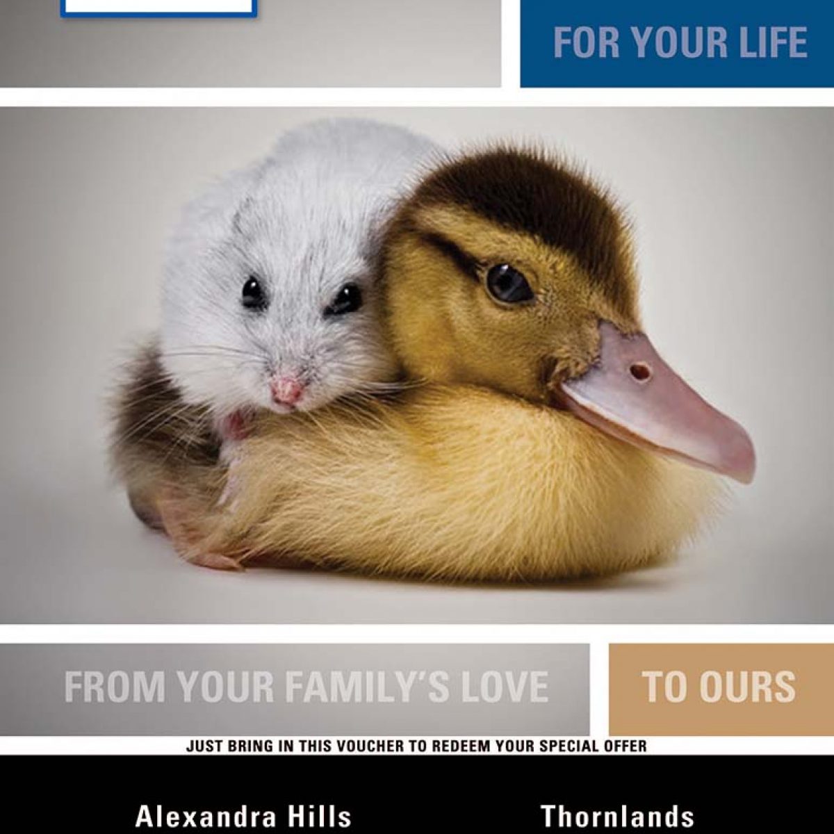 Thornlands_Veterinary_Front