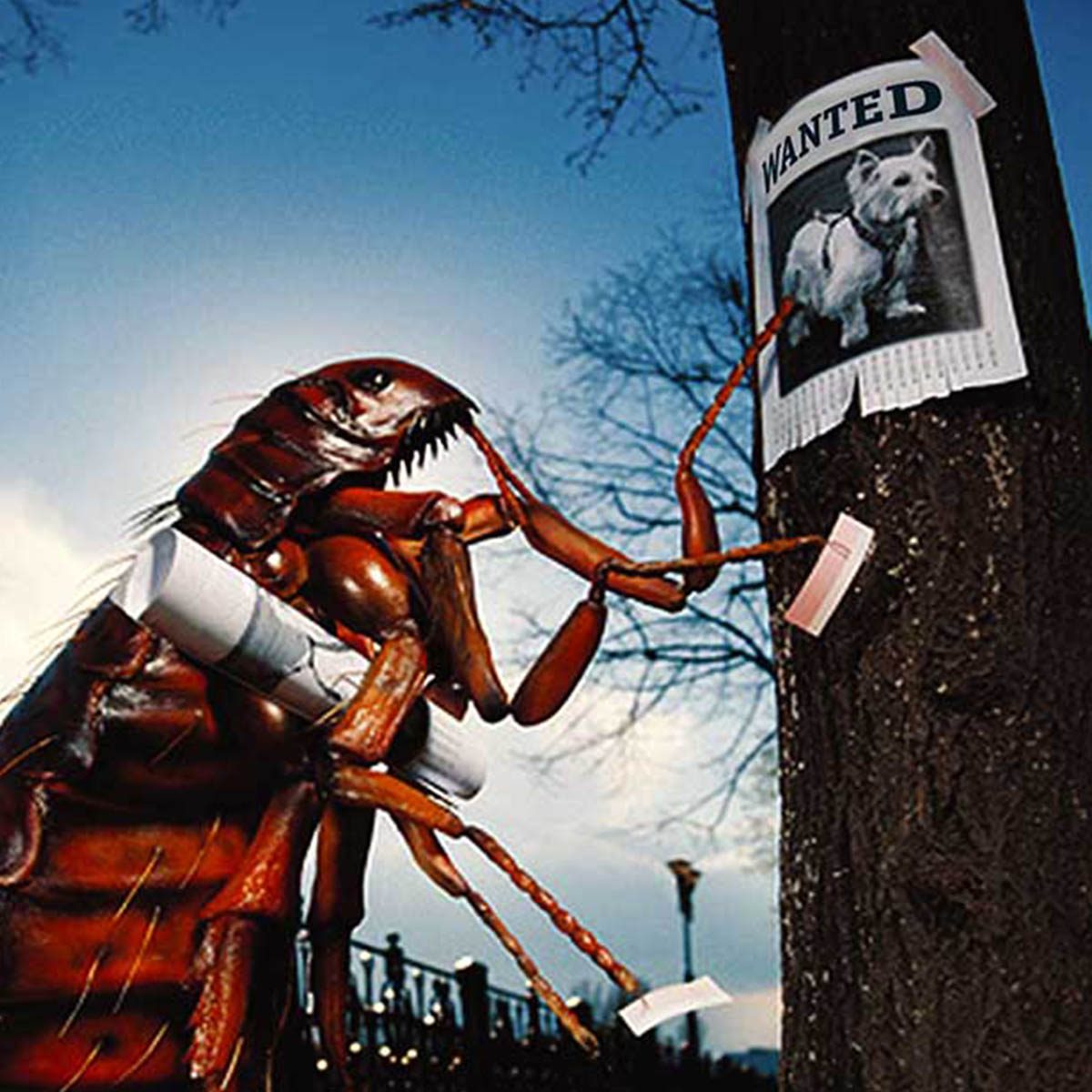 Zap A Bug flyer 1 of 2 FRONT (A5)